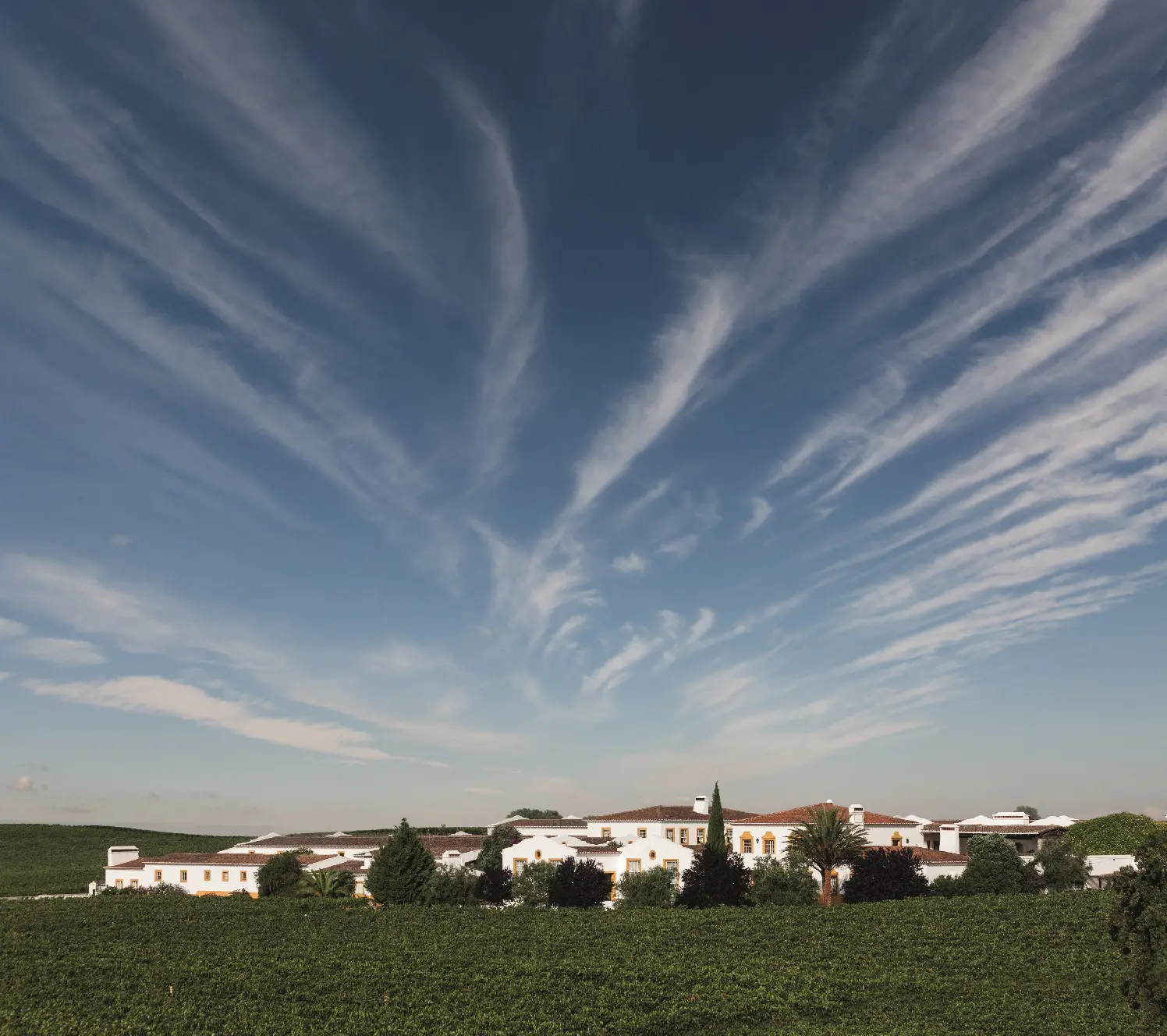 Vinhos portugueses