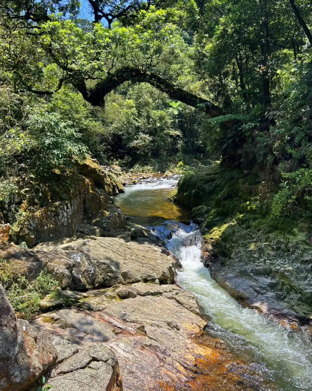 parques naturais