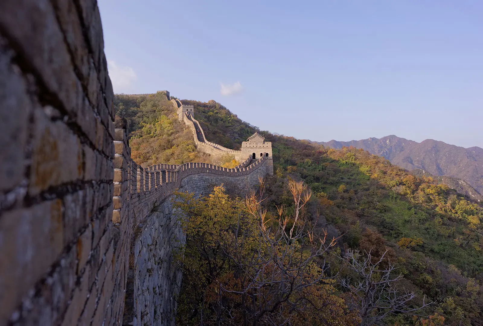 Ano Novo Chinês Ano da Serpente China