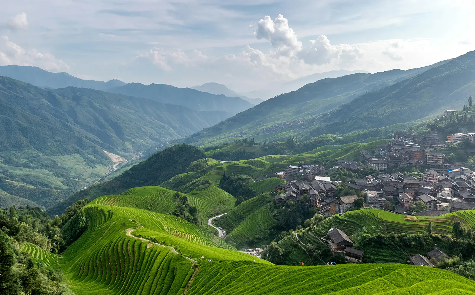 Ano Novo Chinês Ano da Serpente China