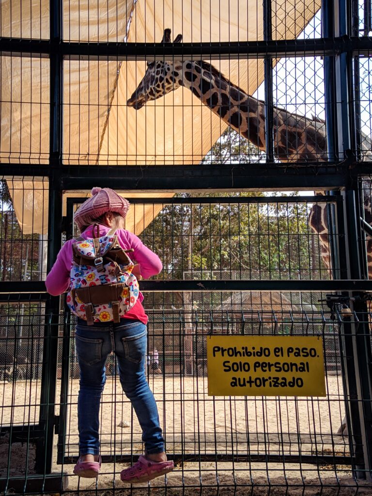 dia das crianças zoológico