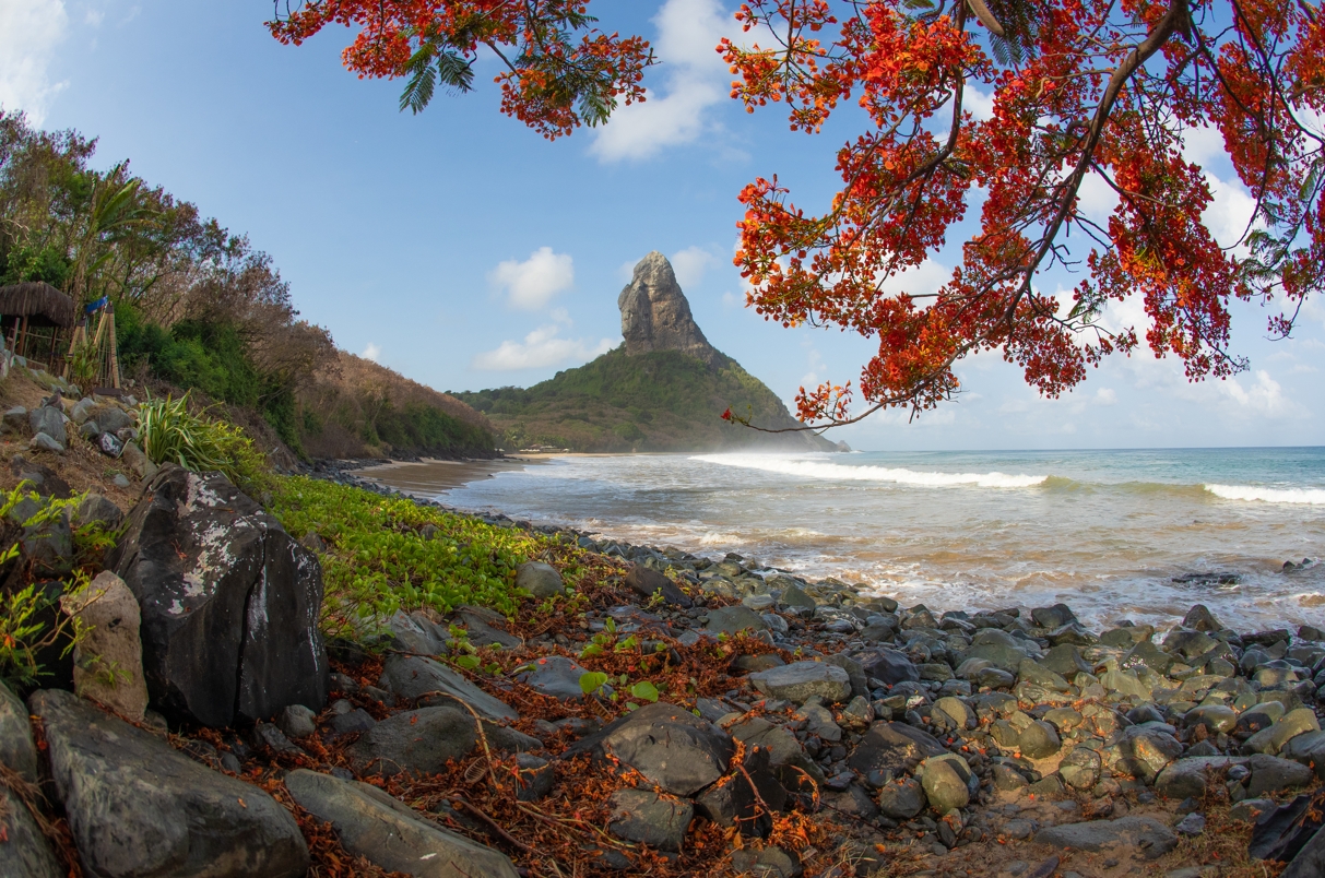 Fernando De Noronha 