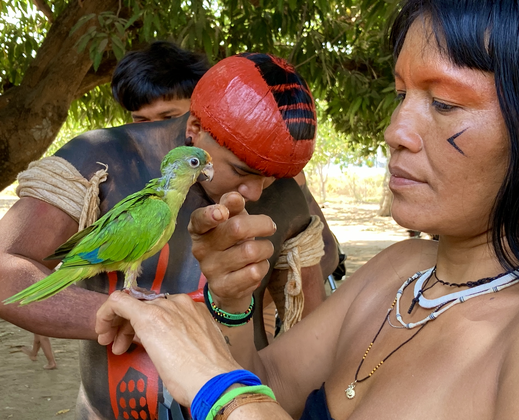 exposição fotográfica sobre o Alto Xingu