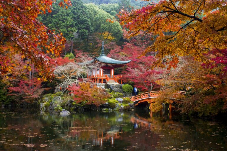 Japão no outono Momijigari