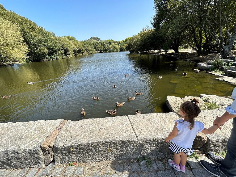 região do Porto