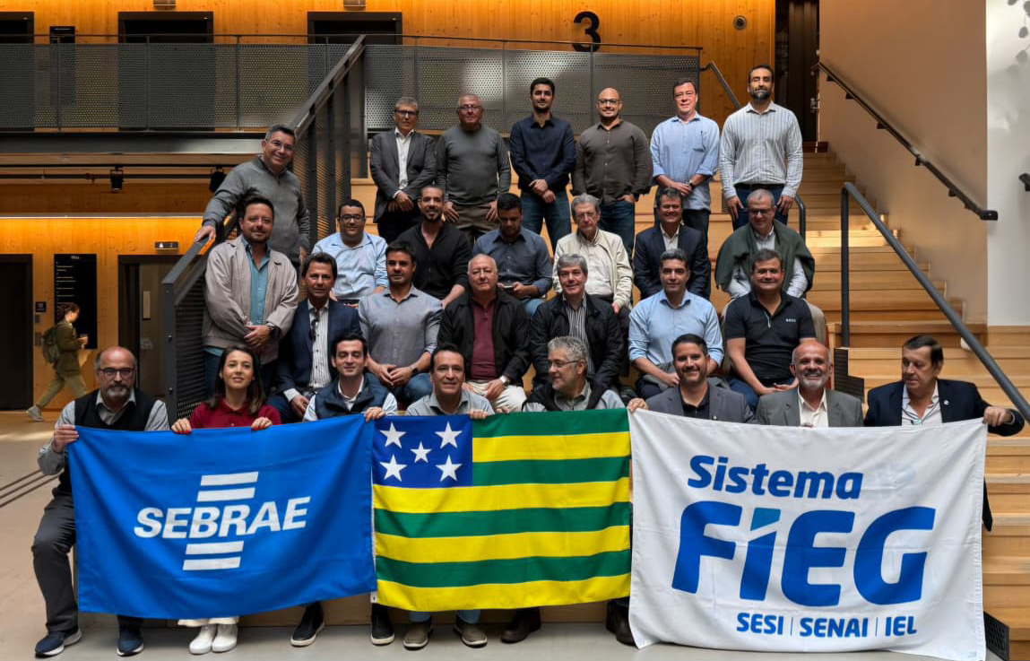 missão na suécia empresários goianos