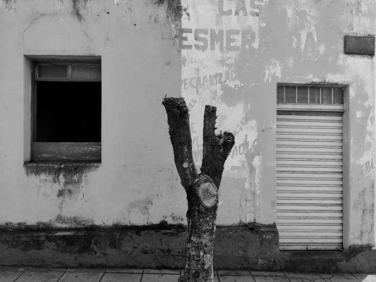 João Almeida (Entre)corpos