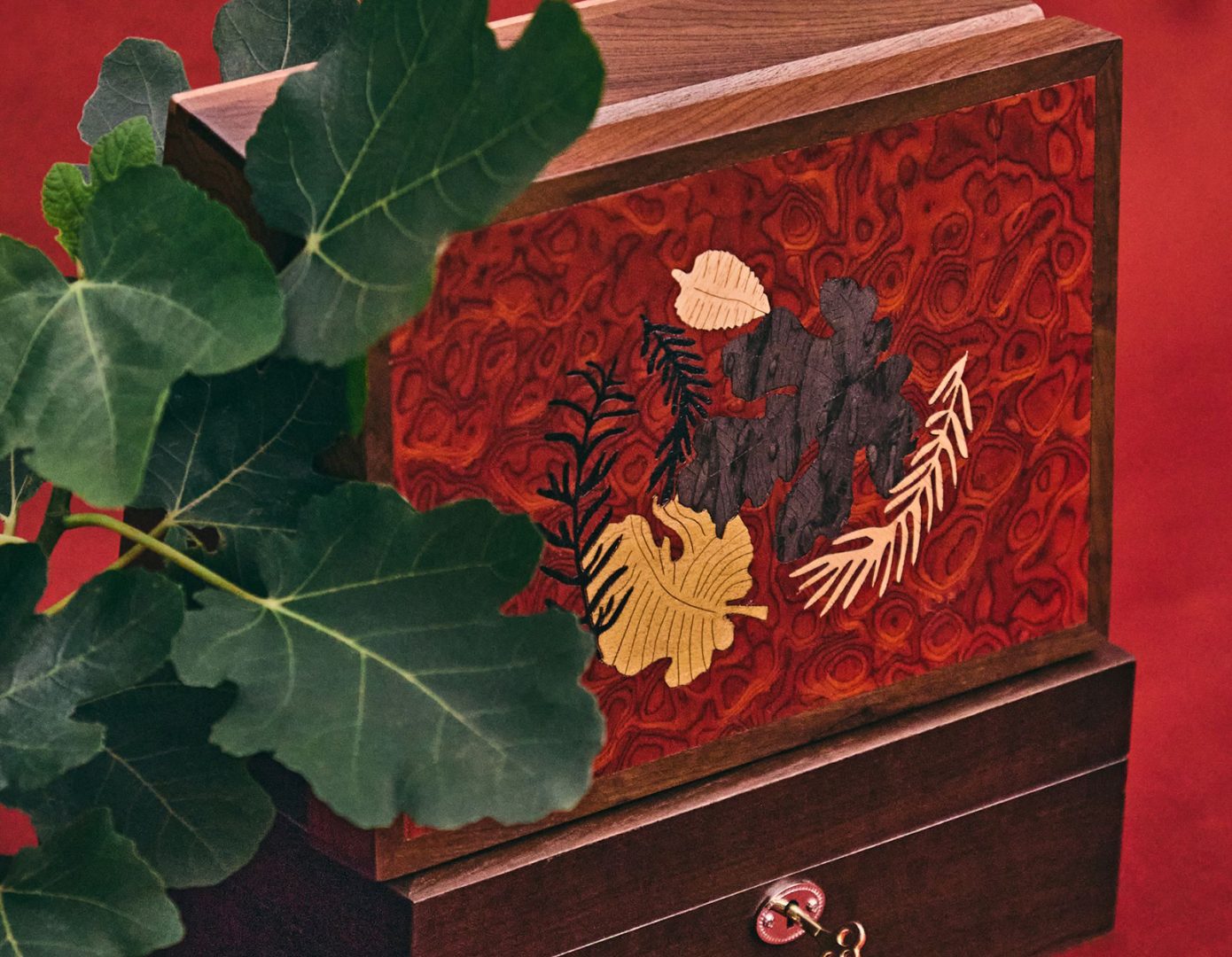 Natura Bothânica WAIWAI Rio