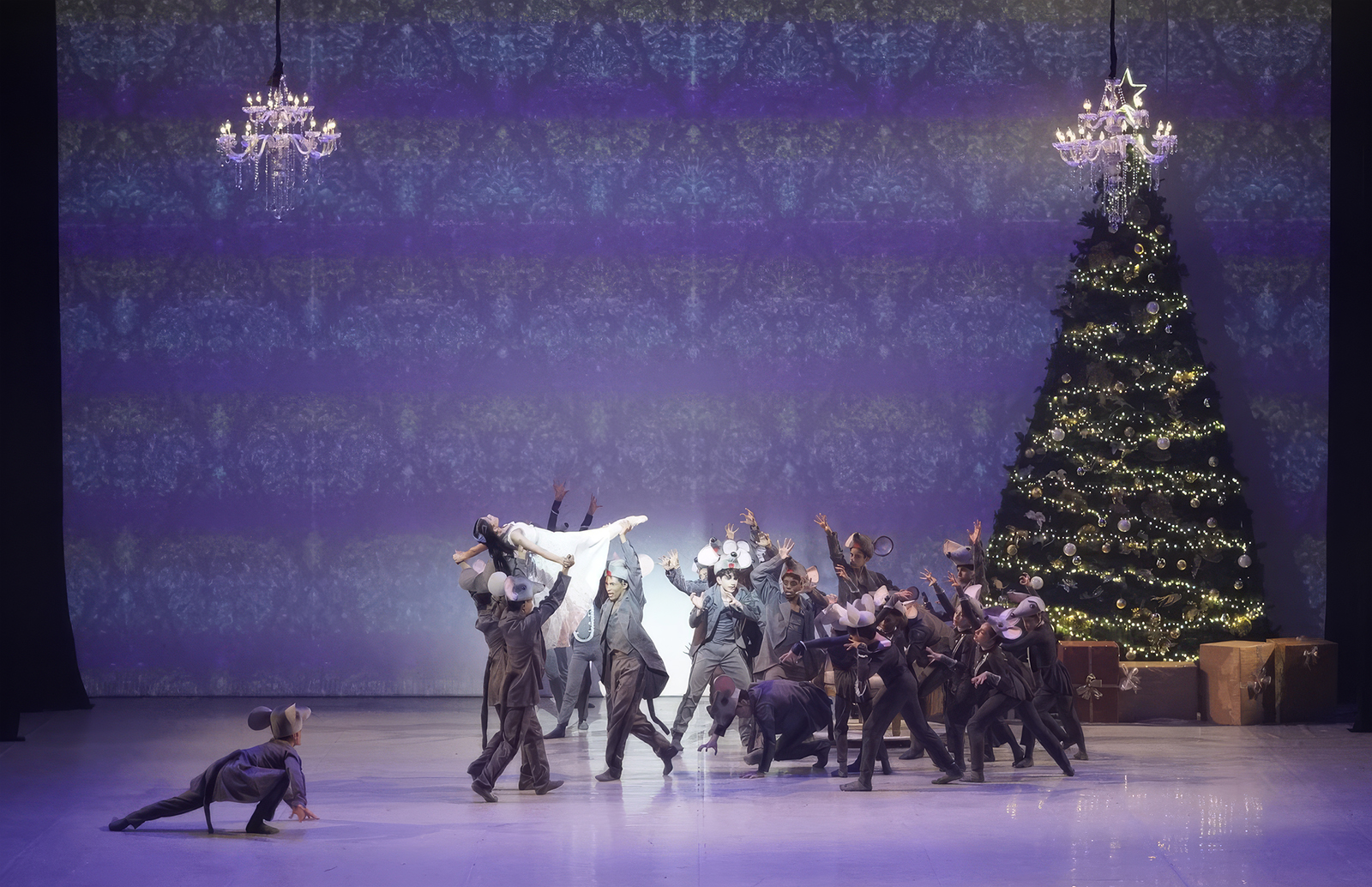 O Quebra Nozes Basileu França