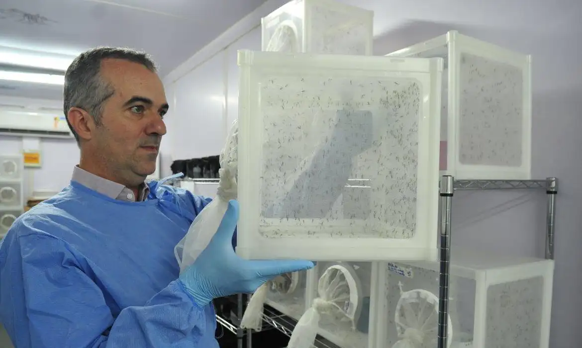 World Mosquito Program