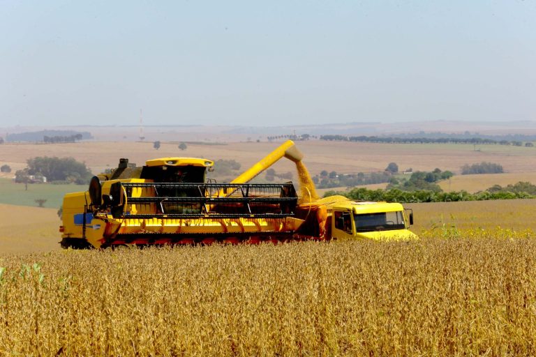 Crescimento econômico de goiás