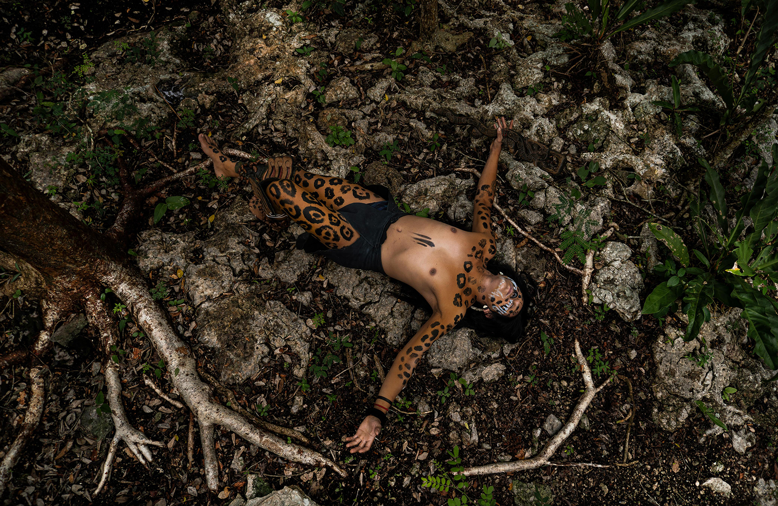 Daniel Taveira Antropogênico 