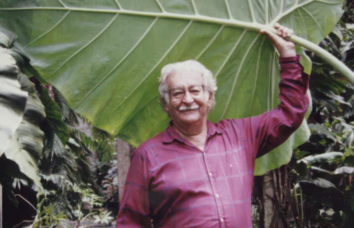 Projeto Cerradim arte e botânica Goiânia