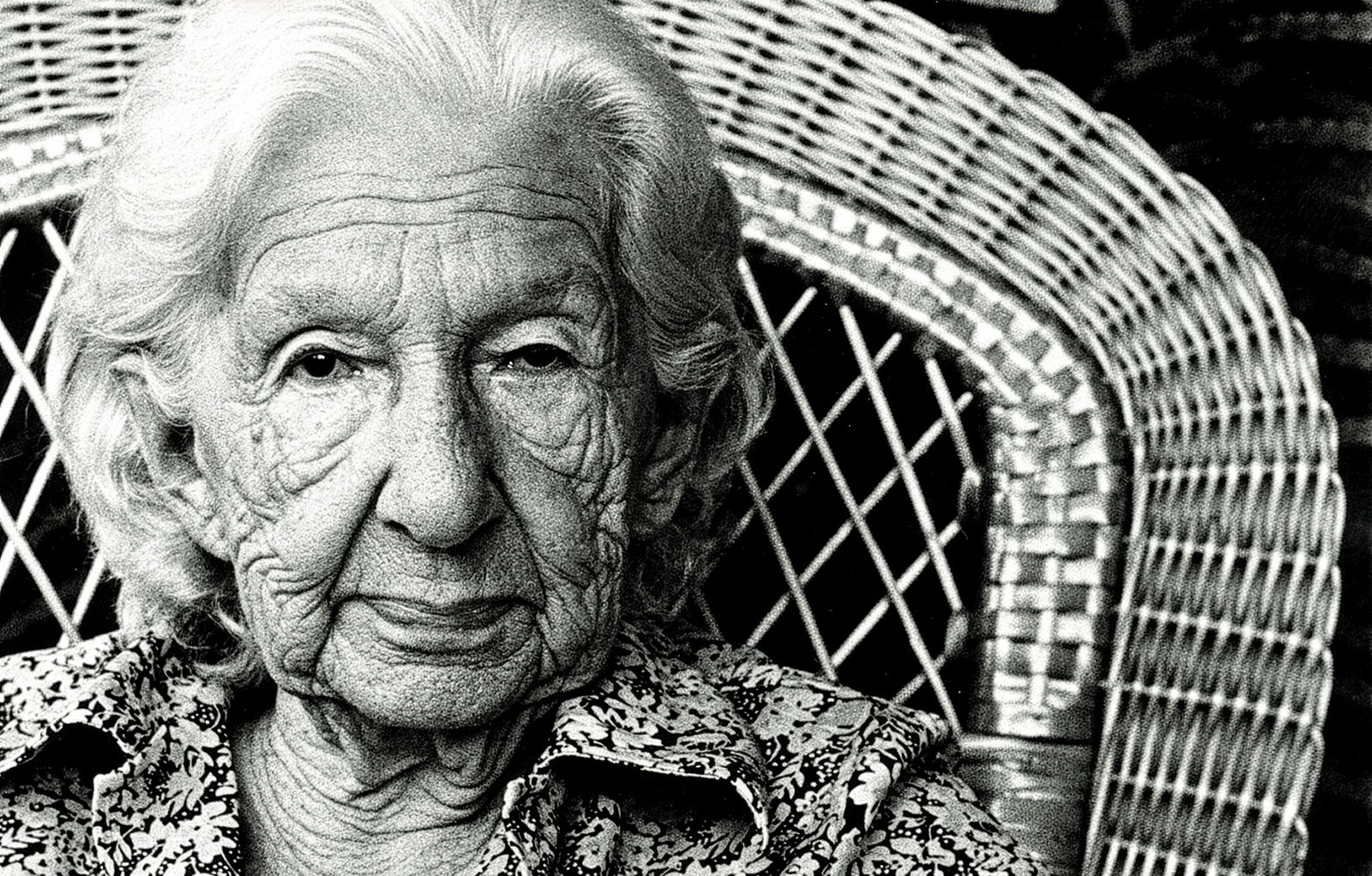 Dia Mundial da Poesia