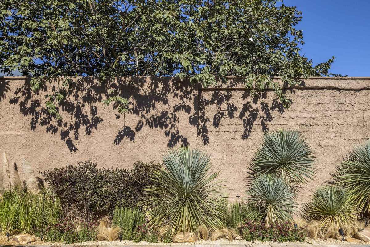 Praça Jardim - Lucas Costa e Andre Bahia – Edgard Cesar – 01