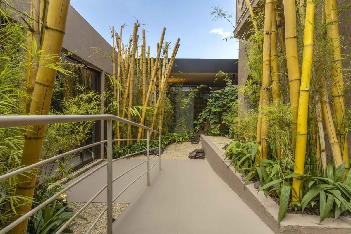 Refugio do Silencio - Leandro de Paula Araújo – Edgard Cesar - 02