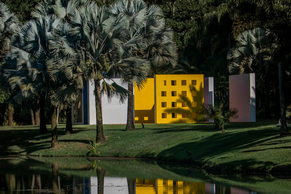 museu inhotim 20 anos