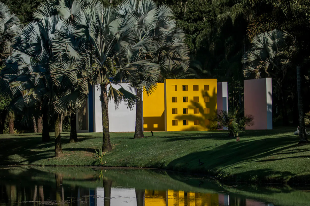 museu inhotim 20 anos