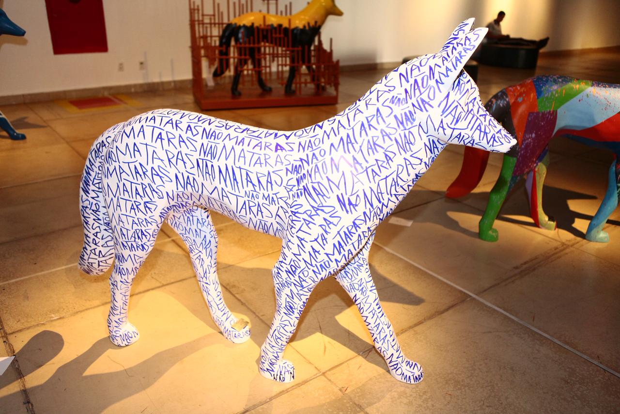 Exposição Fauna e Flora