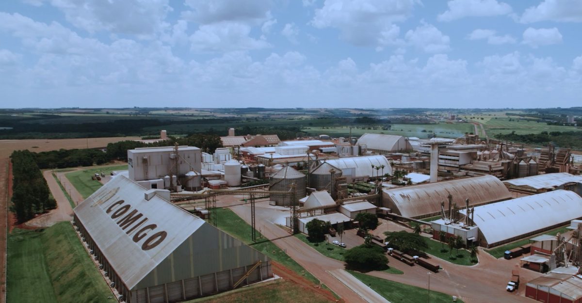 Cooperativas do agro ampliam faturamento em 2025