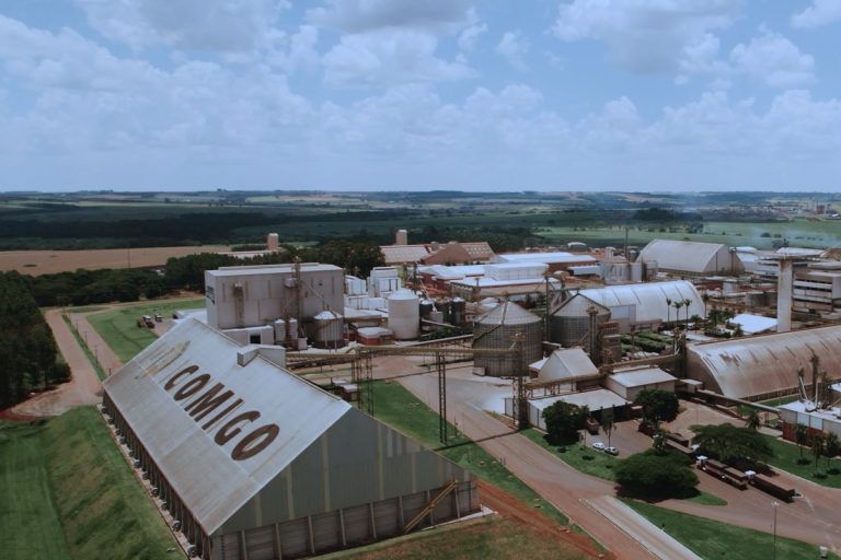 Cooperativas do agro ampliam faturamento em 2025
