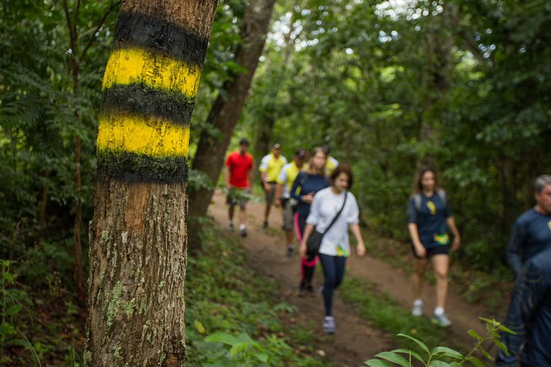 Caminho dos veadeiros