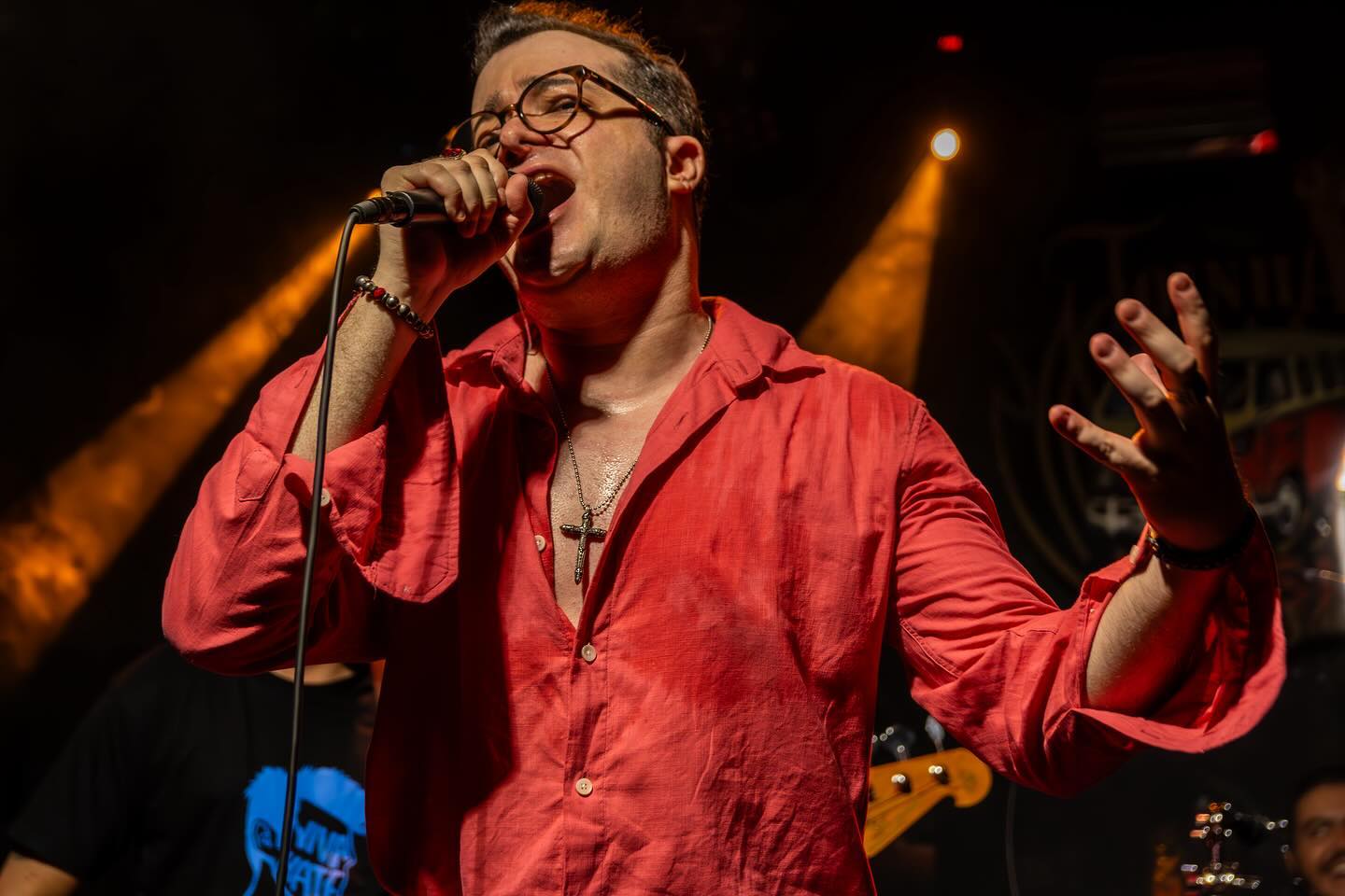 Viva Hate