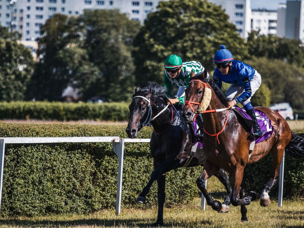 Hipódromo
