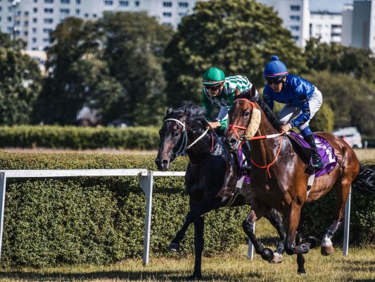 Hipódromo