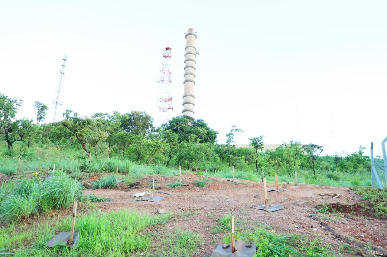 Parque da Serrinha