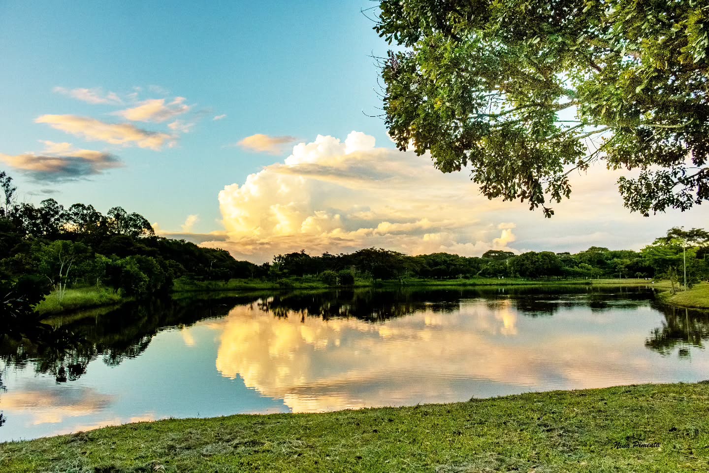 Parque Leolídio de Ramos Caiado