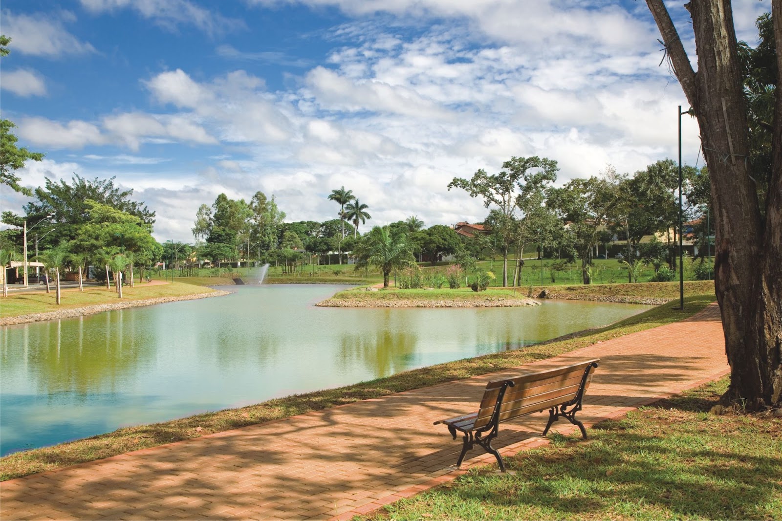 parque beija flor
