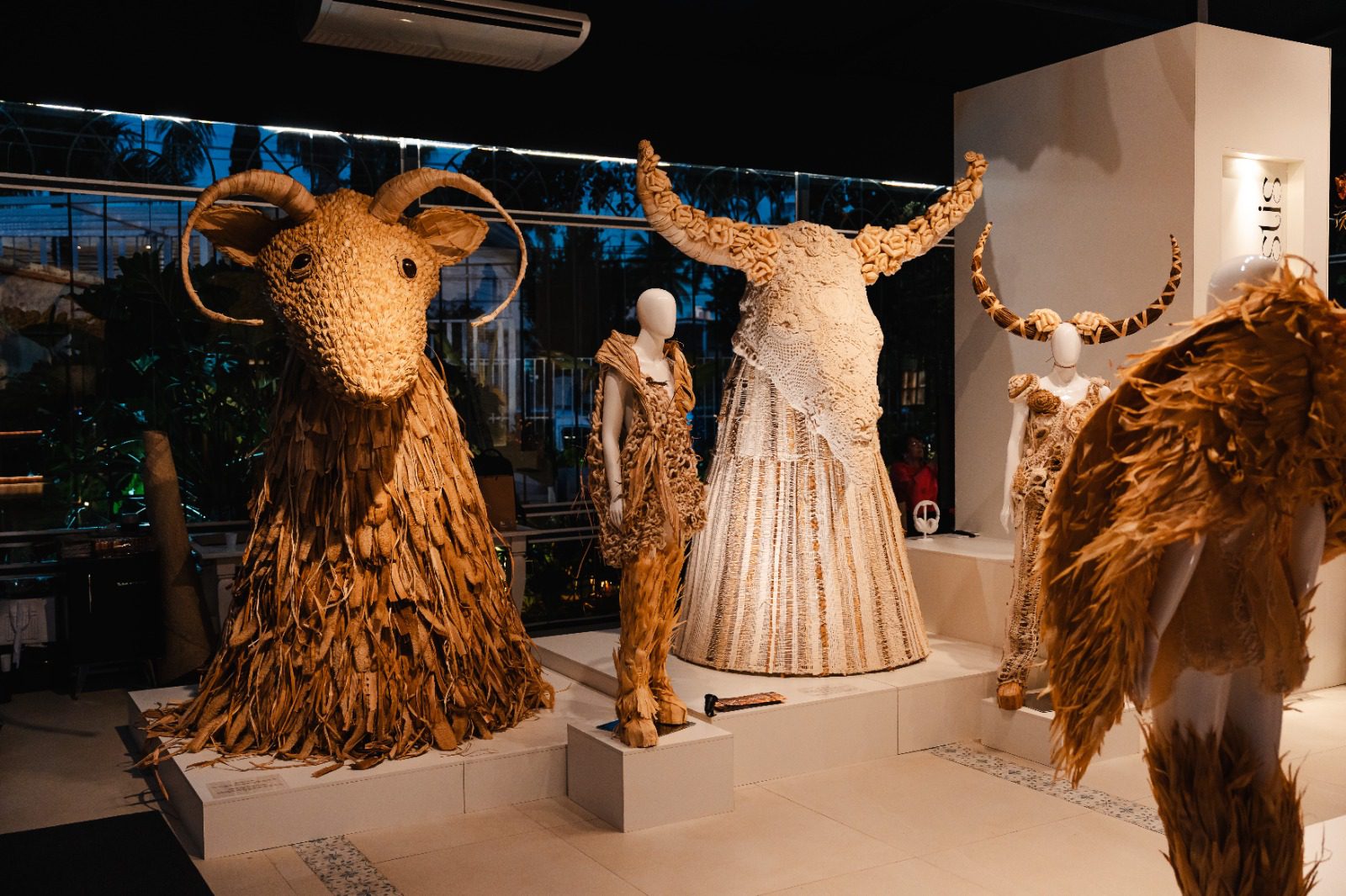 Exposição Caelestis