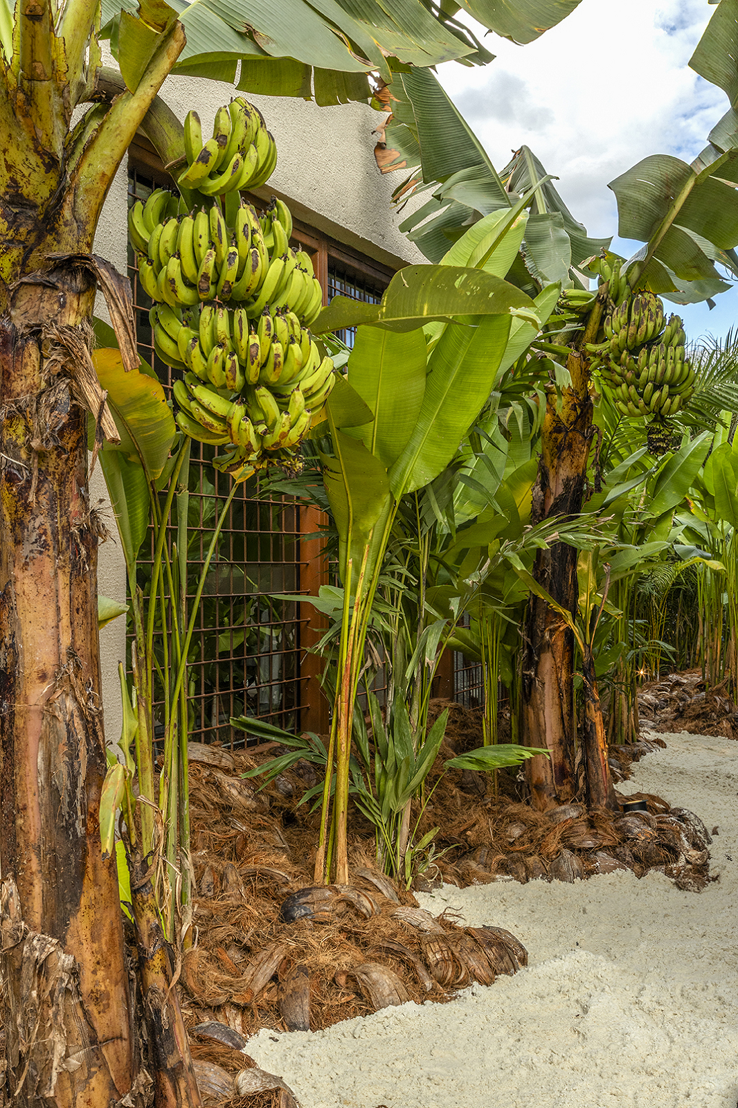 CasaCor Goiás 2025