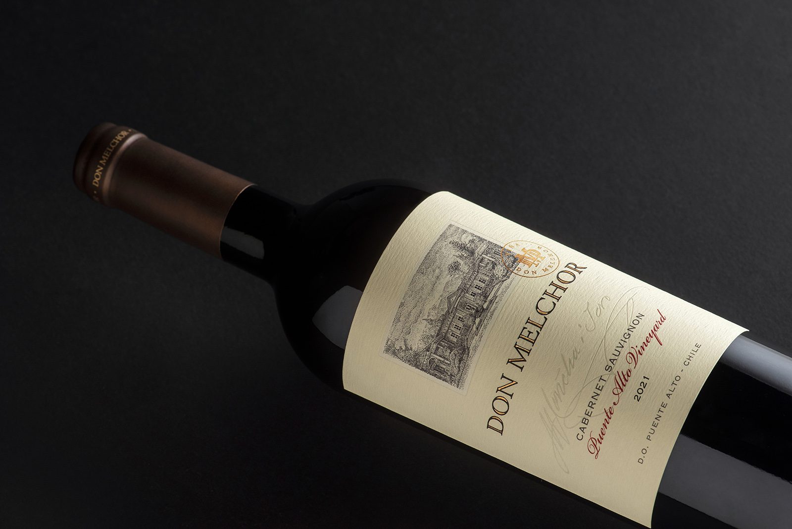 dia do vinho chileno