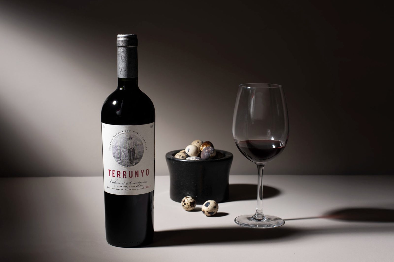 Dia do Vinho Chileno