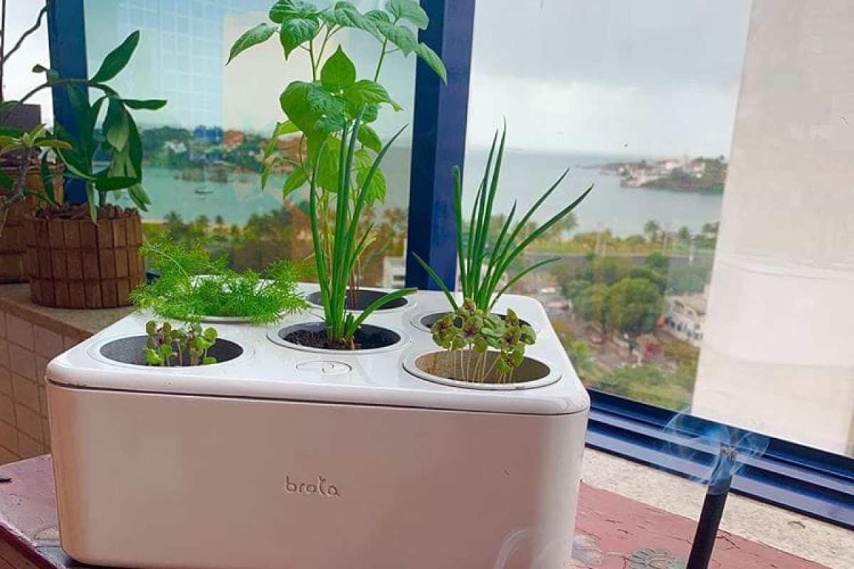 109294563_295376275003057_5240955522001886035_n-1-1