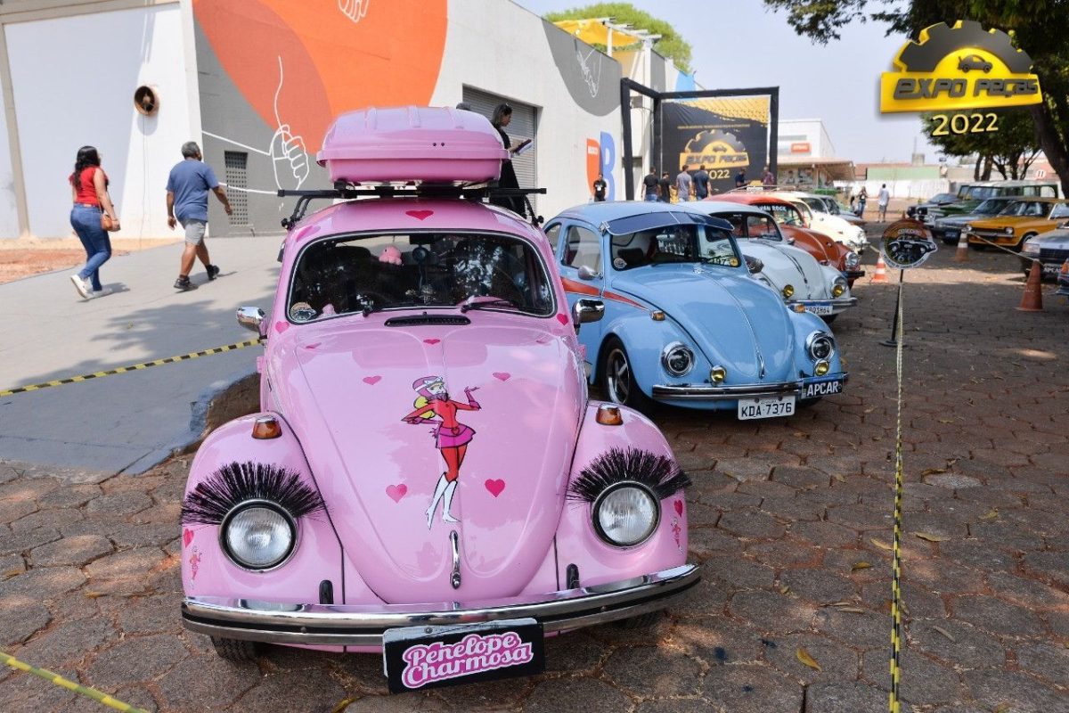 63d3ed0288e19-exptoptecas131-1-1