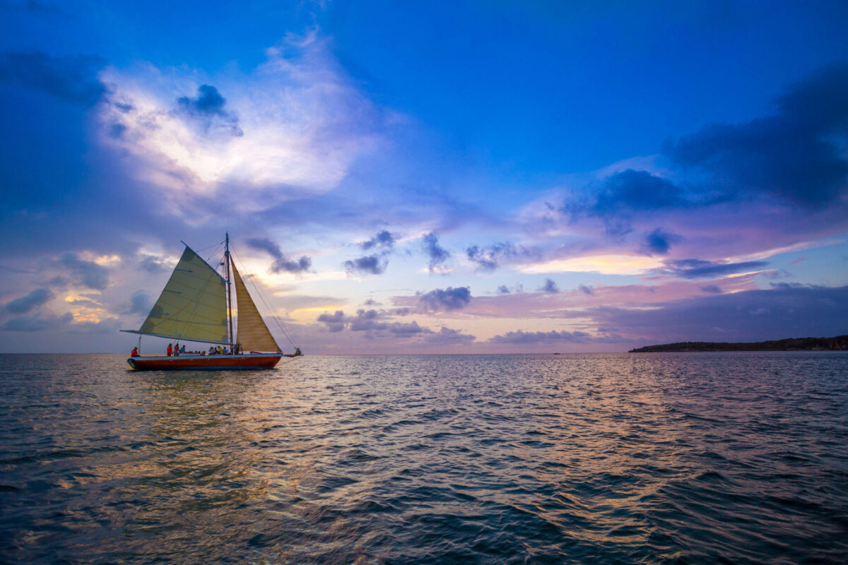 Anguilla-scaled