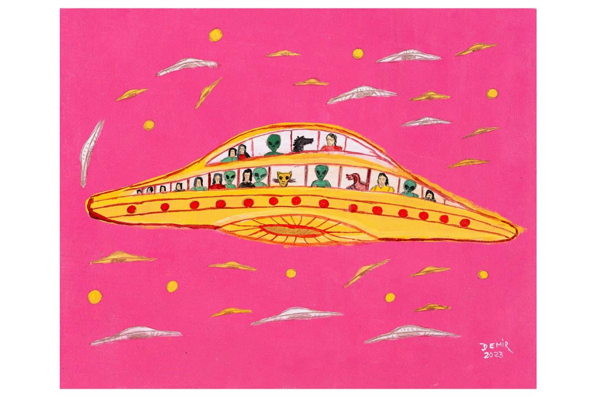 Artista-brasiliense-Demir-1-1