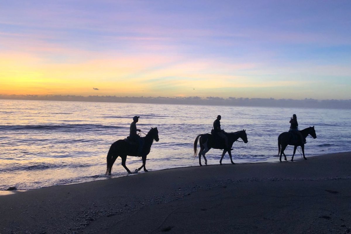Belezas-naturais-da-Florida2-1