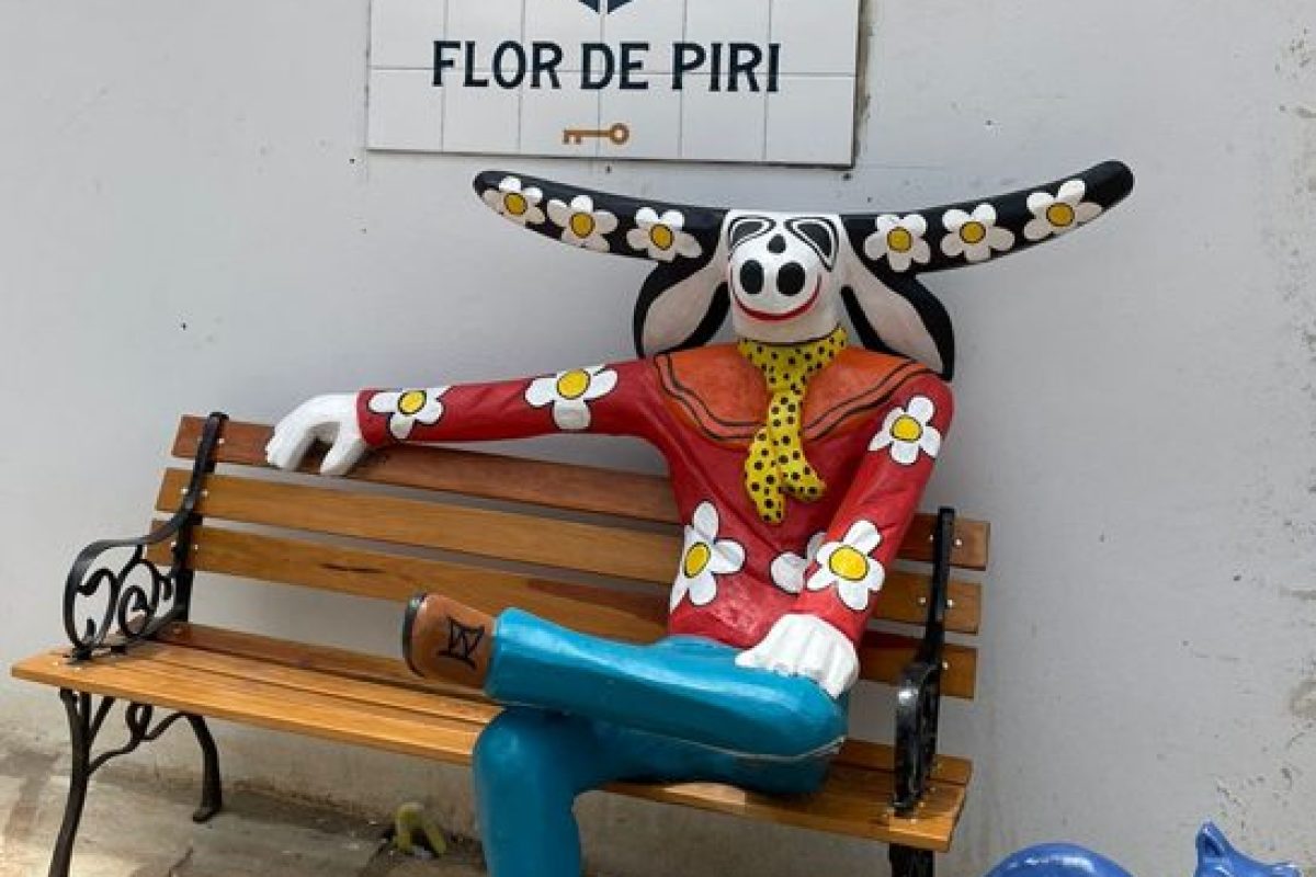 Casas-Flor-de-Piri-Temporada-1