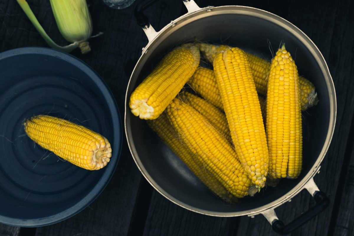 Chica-Doida-Quirinopolis-1-1