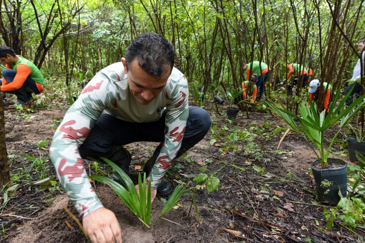 Dia-Mundial-de-Protecao-das-Florestas-1