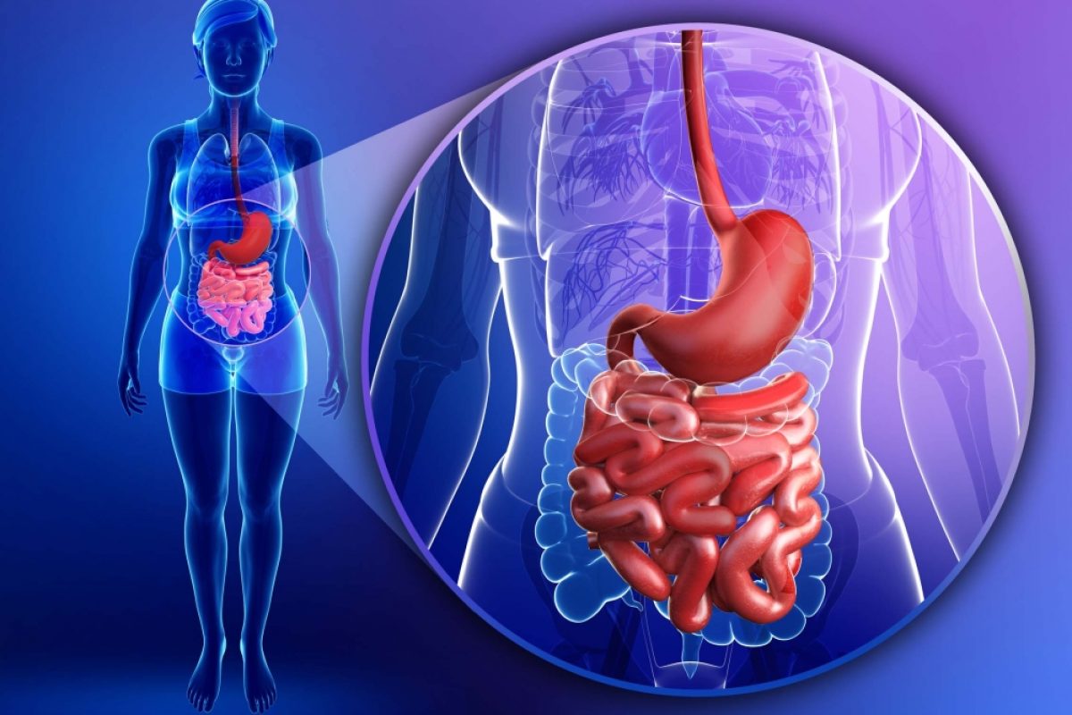 Doencas-Inflamatorias-Intestinais-clinica-do-intestino