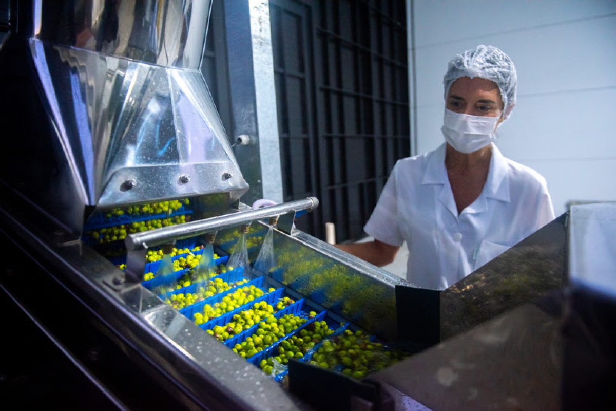 Fazenda-Serra-dos-Tapes-1