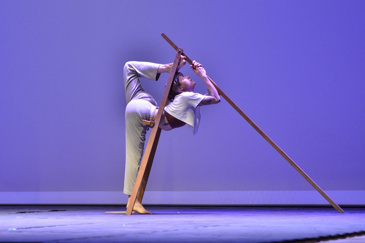 Festival-Internacional-de-Circo-Basileu-Franca-1