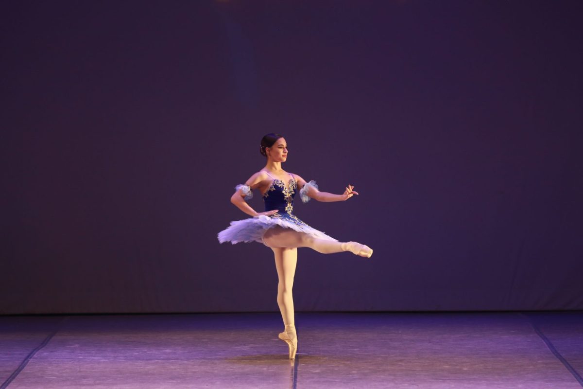 Festival-Internacional-de-Danca-Goias-1