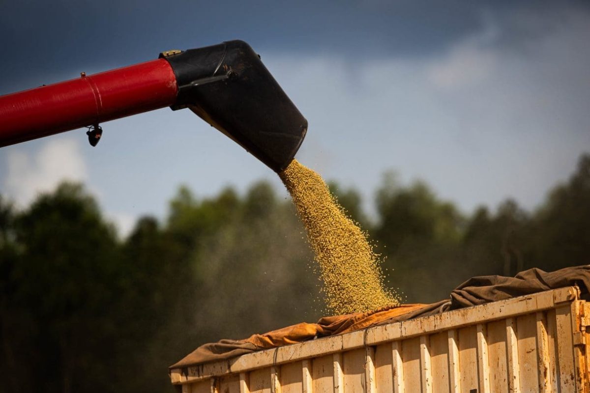 PIB goiano cresce 4,8% em 2023. Agropecuária foi destaque com alta expressiva de 15,1% (Fotos: SGG)