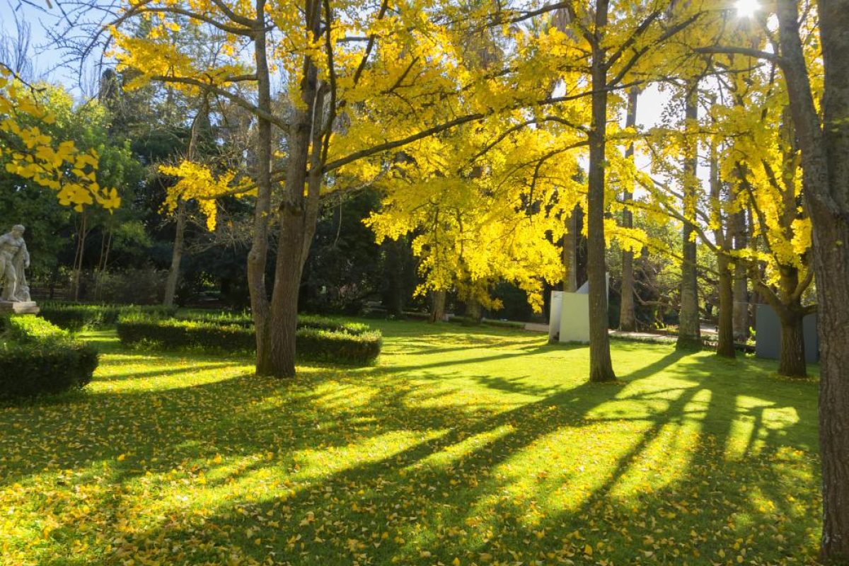 Jardim-botanico-tropical-ULisboa-1